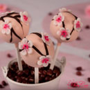 Kersenbloesem cakepops