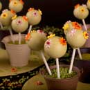 Cakepops met bloemen